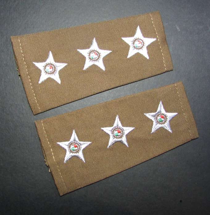 SADF - Army Captain Rank Pair