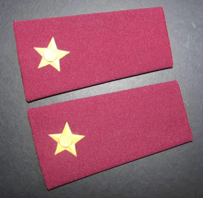 SADF - Medical Corps 2ND Lieuetenant Rank Pair