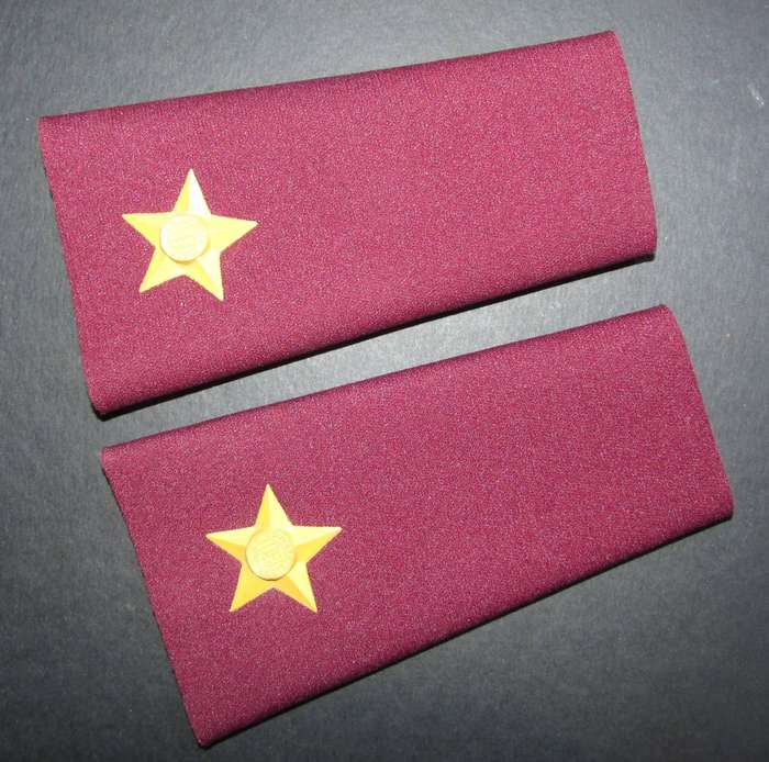 SADF - Medical Corps 2ND Lieuetenant Rank Pair