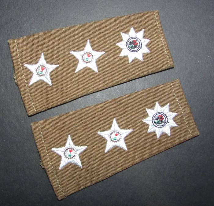SANDF - Army Lieutenant General Rank Pair