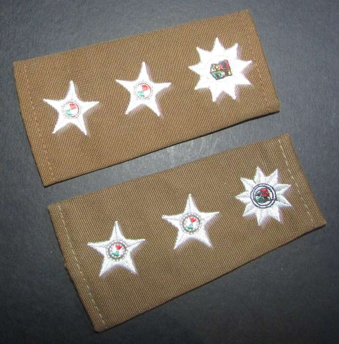 SANDF - Army Lieutenant General Rank Pair