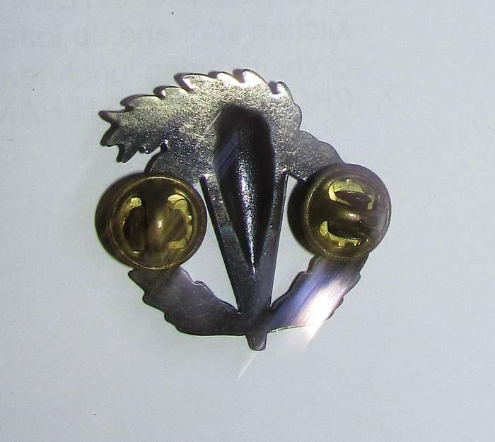SANDF - Pathfinder Breast Badge ( Full Size )