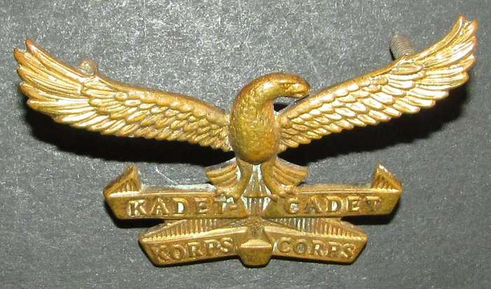 SADF - Air Force Cadets Cap Badge