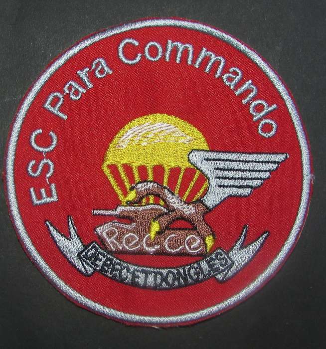 Belgium - Special Forces Patch Badge