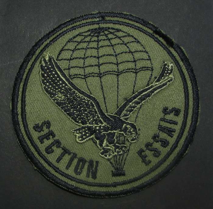 International - Para/Special Forces Patch Badge