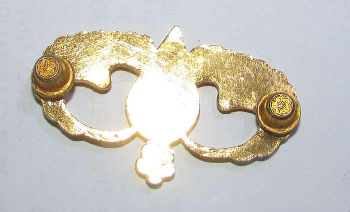 International - Chinese Parachute Wings