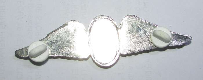 SADF - Static-Line Parachute Instructor Full Size Wing