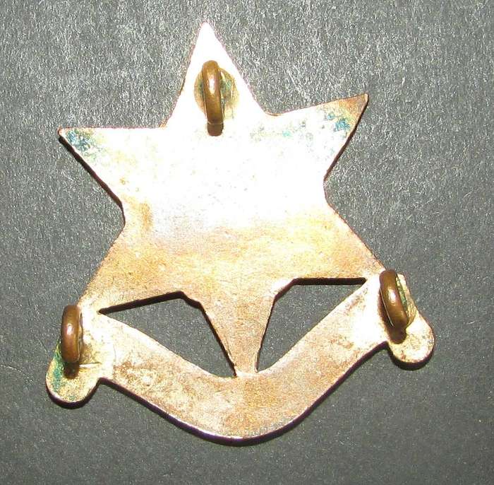 J.R.GAUNT THE BURMA STAR ASSOCIATION AUTO CAR BADGE