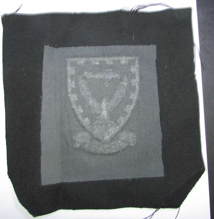 SADF - Air Force Blazer Badge