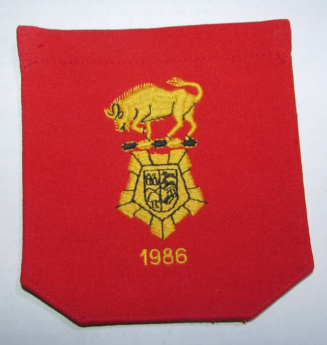 SADF - Army Gymnasium Blazer Badge