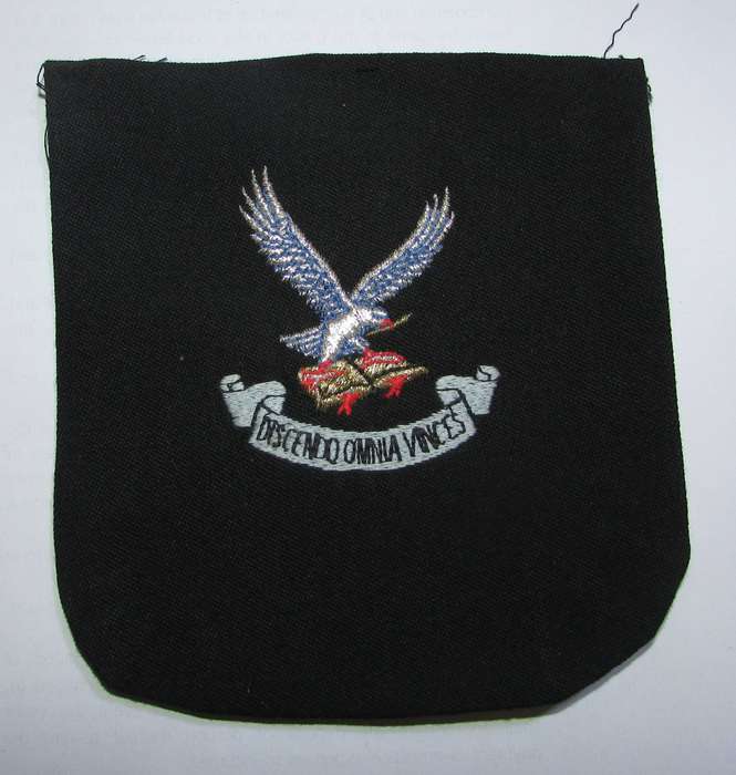 SADF - Air Force Blazer Badge