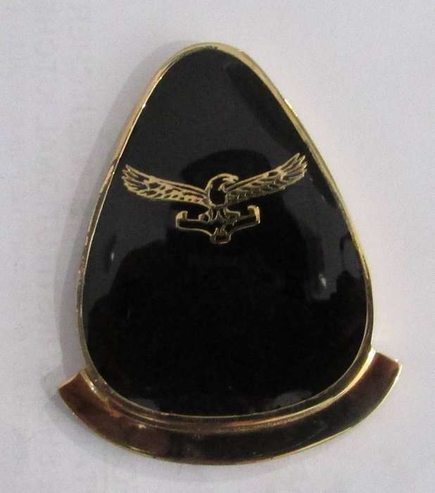 SANDF - Air Force Warrant Officer Medal