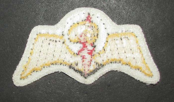 South Africa Railways Police Special Task Force Para Wing