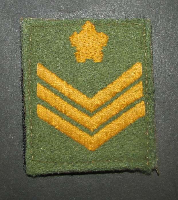 SADF - Rank Badge
