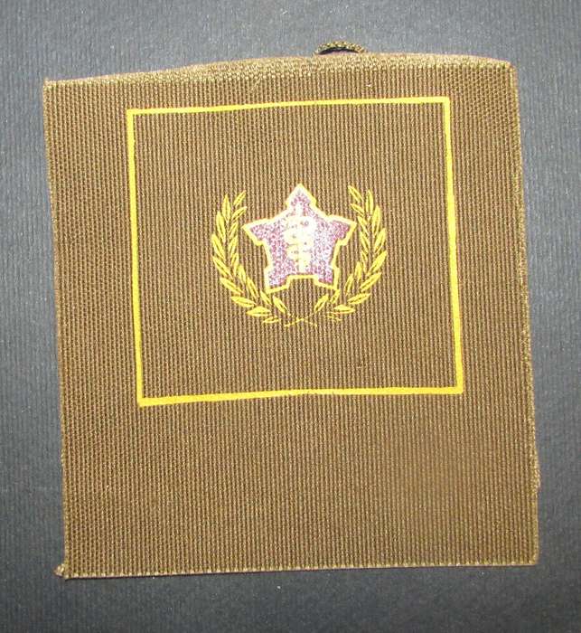 SADF - Medical Services Voluntary Service Breast Badge
