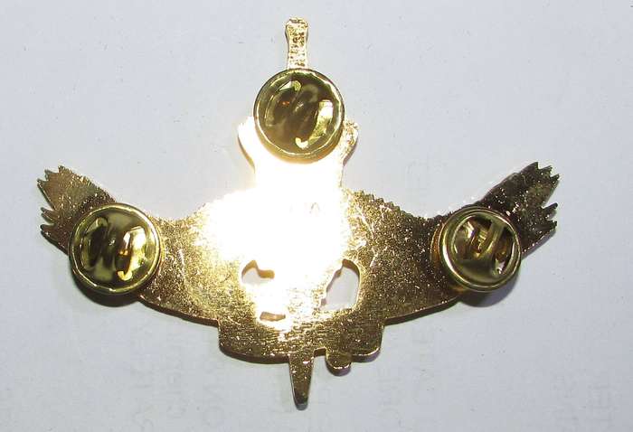 International - Parachute Wing