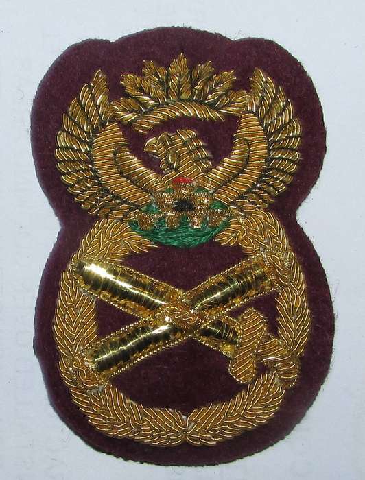 SANDF - South African Medical Services Generals Cap Badge
