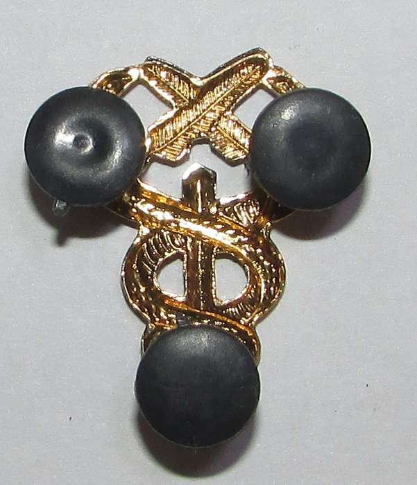 SADF - Medical Services Support Personnel Breast Badge