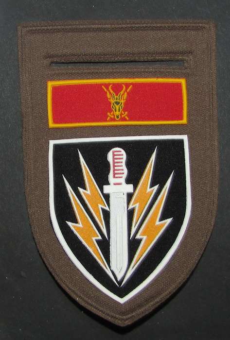 SADF - 61 Mechanised Infantry Battalion Tupper Flash ( Broad Rim )