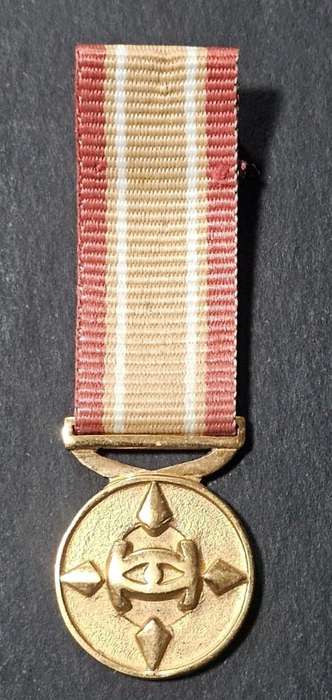 SADF/SANDF Intelligence Services Medal - Outstanding Leadership - Miniature