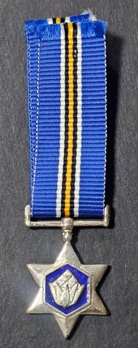 SADF - Protea Decoration - Miniature Medal ( Silver )
