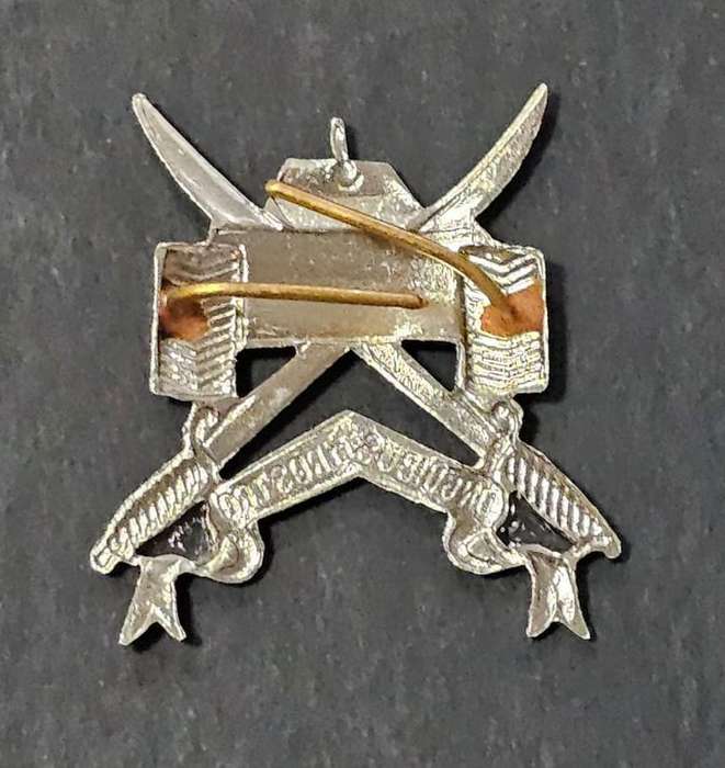 Belgium - Para Commando Recon Squadron Badge