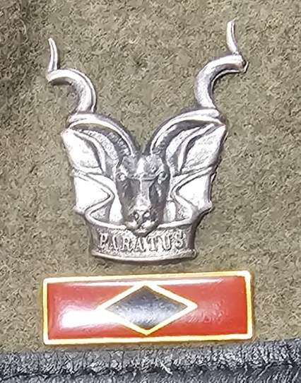 SADF - South West Africa Territorial Forces ( SWATF ) Complete Beret