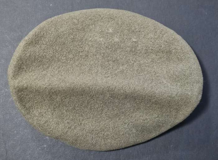 SADF - South West Africa Territorial Forces ( SWATF ) Complete Beret