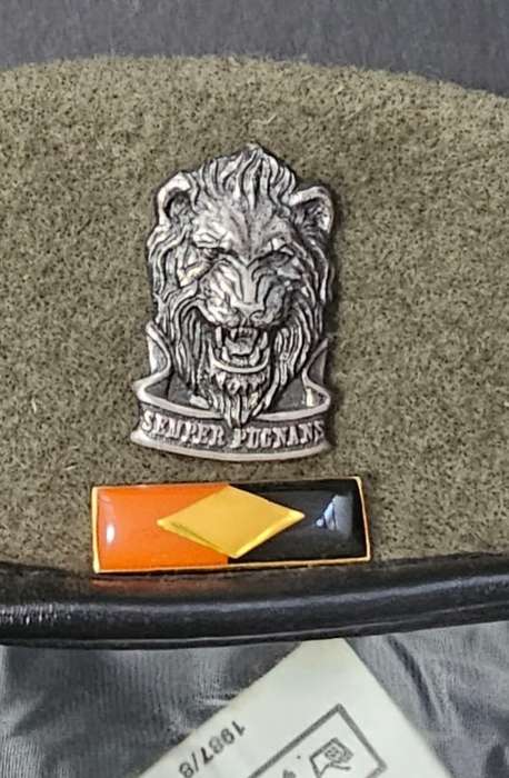 SADF - South West Africa Territorial Forces ( SWATF ) Complete Beret