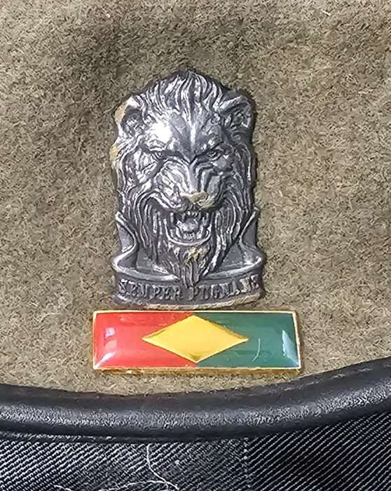 SADF - South West Africa Territorial Forces ( SWATF ) Complete Beret