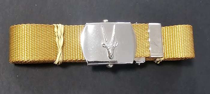 SADF - South West Africa Territorial Forces ( SWATF ) Step out Belt