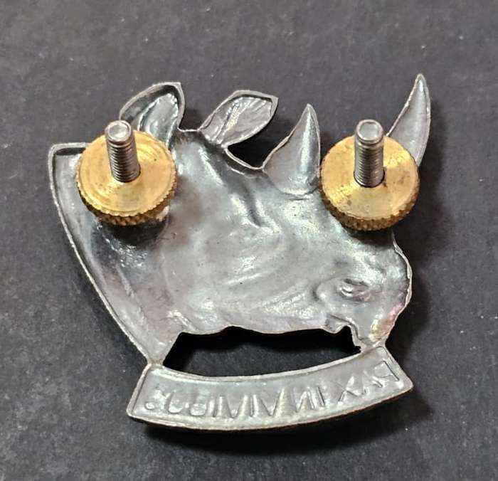 SADF - South West Africa Territorial Forces ( SWATF ) 101 Battalion Cap Badge