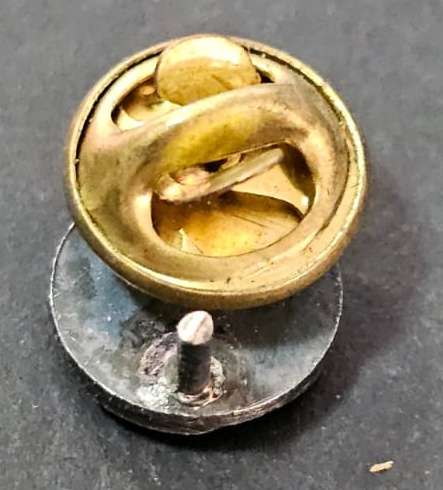 SADF - South West Africa Territorial Forces ( SWATF ) Pin Badge