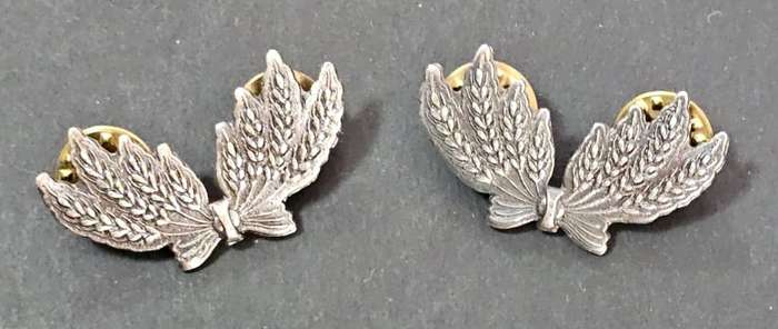 SADF - South West Africa Territorial Forces ( SWATF ) - Services Corps Collars