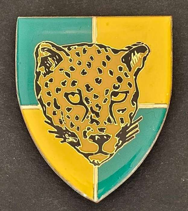 SADF - Group 35 HQ Shoulder Flash