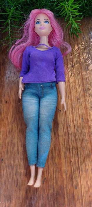 Barbie dreamhouse adventures doll