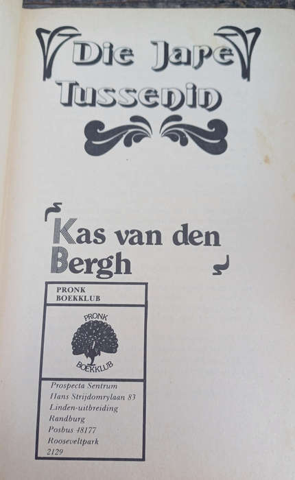 Die jare tussenin deur Kas van den Bergh