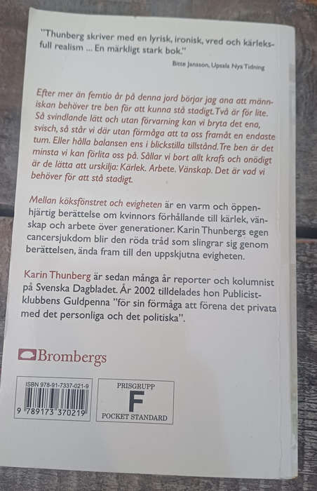 Mellan koksfonstret och evigheten by Karin Thunberg