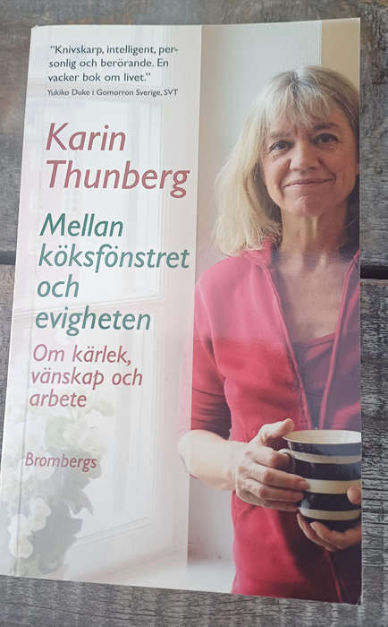 Mellan koksfonstret och evigheten by Karin Thunberg