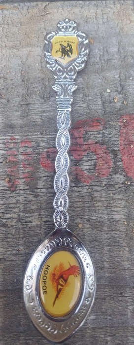 Magaliesburg souvenir spoon