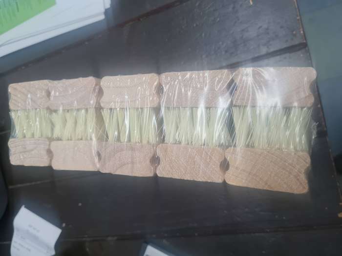 10 x shoe brushes pack