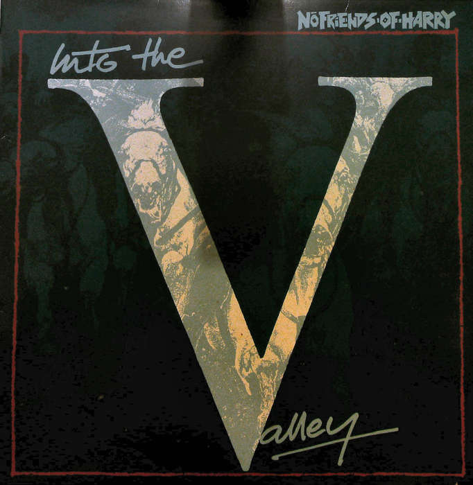 NO FRIENDS OF HARRY - Into The Valley - South African Vinyl - HARRY1