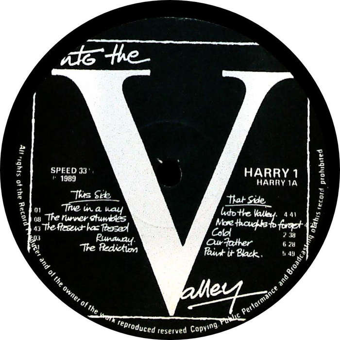 NO FRIENDS OF HARRY - Into The Valley - South African Vinyl - HARRY1