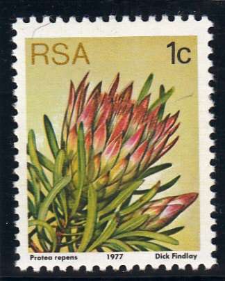 RSA 1980: 3rd DEFINITIVE ISSUE 1c MNH (SACC418)