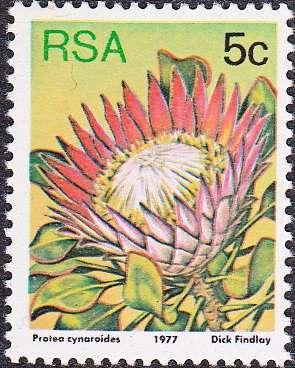 RSA 1977 3rd DEFINITIVE ISSUE 5c MNH (SACC 422a)