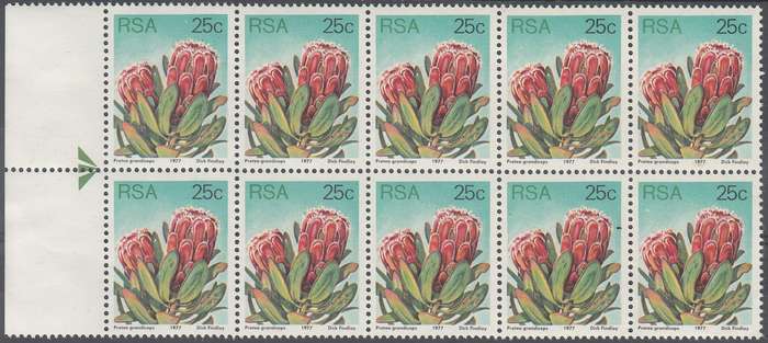 RSA 1980 3rd DEFINITIVE ISSUE 25c MNH ARROW BLOCK OF 10 (SACC430a)