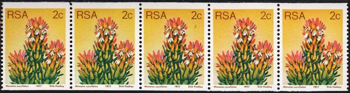 RSA 1977: 3rd DEFINITIVE ISSUE 2c COIL STRIP OF 5 MNH (SACC 436) - NUMBER AT BACK - LIGHTER SHADE