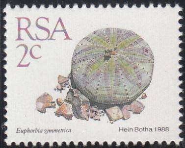 RSA 1988: 5th DEF ISSUE SUCCULENTS FULL SET OF 15 MNH (SACC 668-682)