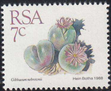 RSA 1988: 5th DEF ISSUE SUCCULENTS FULL SET OF 15 MNH (SACC 668-682)