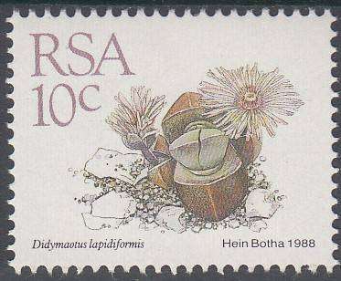RSA 1988: 5th DEF ISSUE SUCCULENTS FULL SET OF 15 MNH (SACC 668-682)